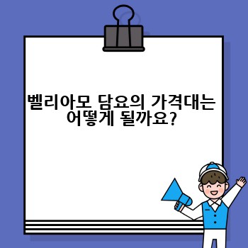 벨리아모 담요의 가격대는 어떻게 될까요?