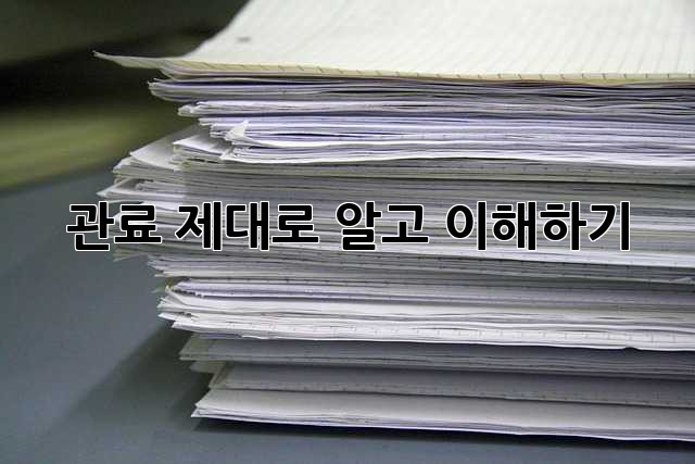 관료: 제대로 알고 이해하기
