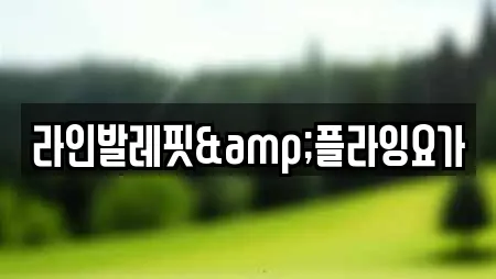 라인발레핏&플라잉요가