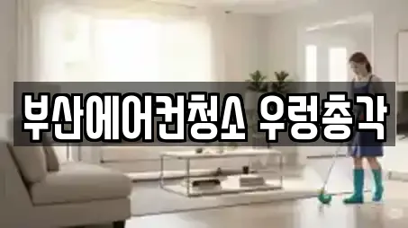 부산 일광읍 청소 상세 정보 15건