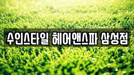 수인스타일 헤어앤스파 삼성점