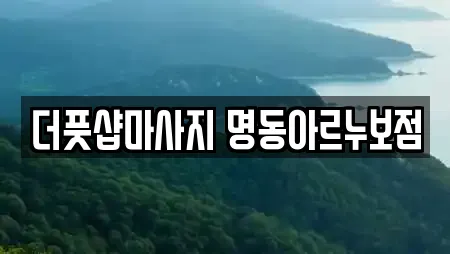 더풋샵마사지 명동아르누보점