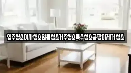 입주청소이사청소원룸청소거주청소특수청소곰팡이제거청소