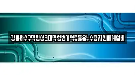 강릉하수구막힘싱크대막힘변기역류뚫음누수탐지신세계설비