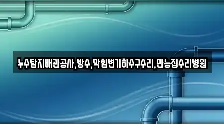누수탐지배관공사,방수,막힘변기하수구수리,만능집수리병원