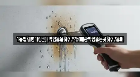 1등업체변기싱크대막힘뚫음하수구역류배관막힘뚫는곳하수구뚫어