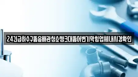 24긴급하수구뚫음배관청소씽크대뚫어변기막힘업체내시경확인