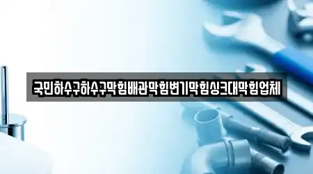 국민하수구하수구막힘배관막힘변기막힘싱크대막힘업체