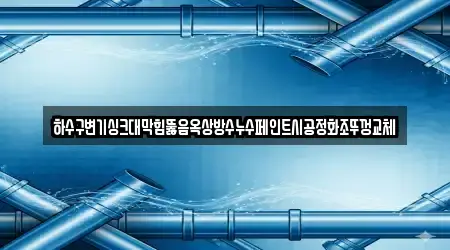 하수구변기싱크대막힘뚫음옥상방수누수페인트시공정화조뚜껑교체