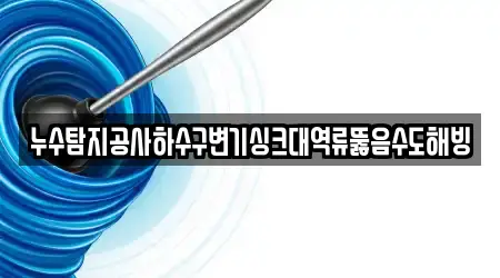 누수탐지공사하수구변기싱크대역류뚫음수도해빙