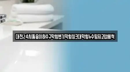대전24시뚫음이하수구막힘변기막힘싱크대막힘누수탐지고압세척