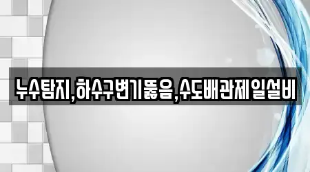 누수탐지,하수구변기뚫음,수도배관제일설비