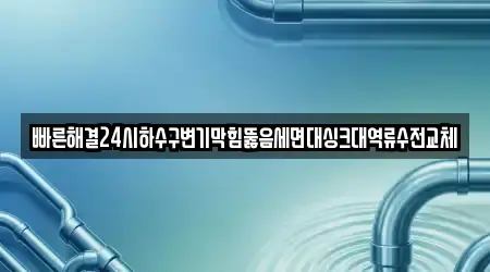 빠른해결24시하수구변기막힘뚫음세면대싱크대역류수전교체