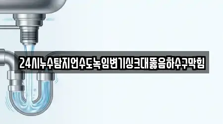 대전광역시 수남동 욕실막힘 업체 주소 1건