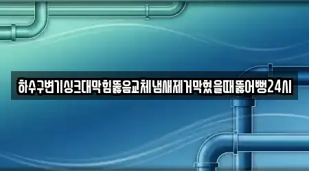 하수구변기싱크대막힘뚫음교체냄새제거막혔을때뚫어뻥24시