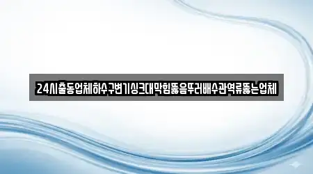 24시출동업체하수구변기싱크대막힘뚫음뚜러배수관역류뚫는업체
