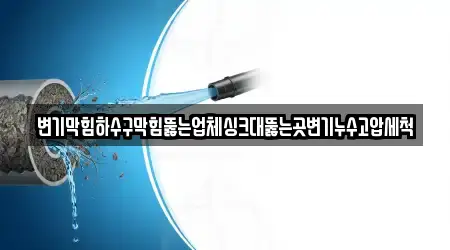 변기막힘하수구막힘뚫는업체싱크대뚫는곳변기누수고압세척