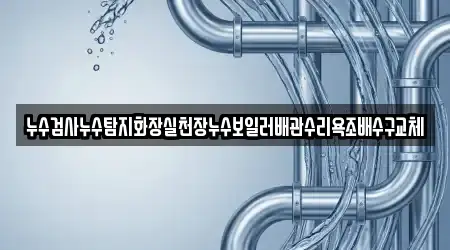 누수검사누수탐지화장실천장누수보일러배관수리욕조배수구교체