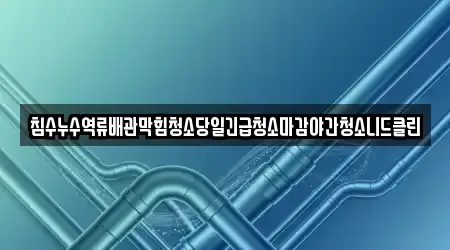 침수누수역류배관막힘청소당일긴급청소마감야간청소니드클린