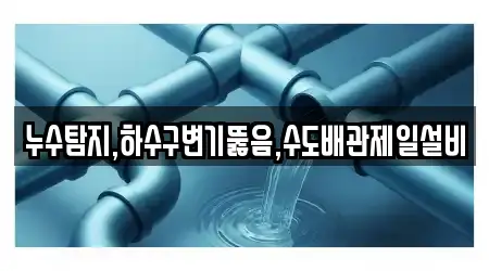 누수탐지,하수구변기뚫음,수도배관제일설비