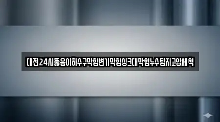 대전24시뚫음이하수구막힘변기막힘싱크대막힘누수탐지고압세척
