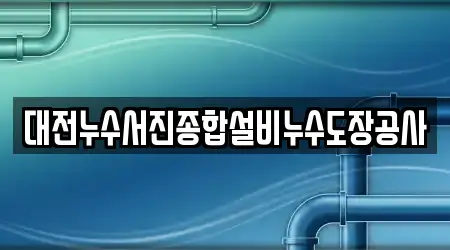 대전누수서진종합설비누수도장공사