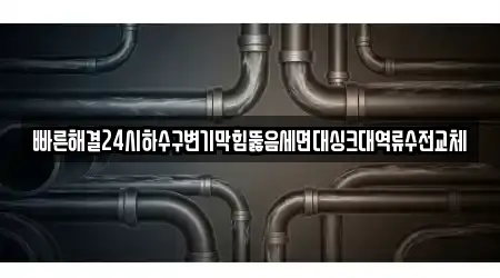 빠른해결24시하수구변기막힘뚫음세면대싱크대역류수전교체