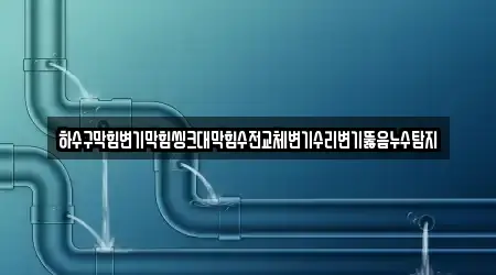 하수구막힘변기막힘씽크대막힘수전교체변기수리변기뚫음누수탐지