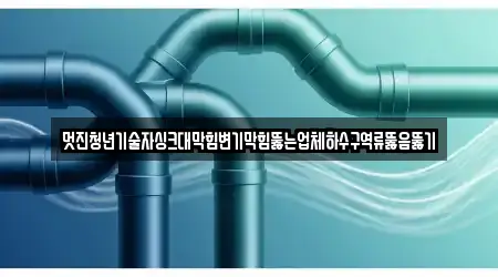 멋진청년기술자싱크대막힘변기막힘뚫는업체하수구역류뚫음뚫기