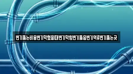 변기뚫는비용변기막혔을때변기막힘변기뚫음변기역류변기뚫는곳