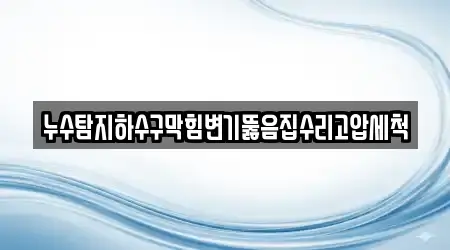 누수탐지하수구막힘변기뚫음집수리고압세척