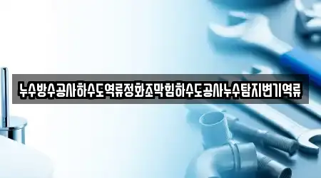 누수방수공사하수도역류정화조막힘하수도공사누수탐지변기역류