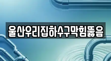 울산우리집하수구막힘뚫음