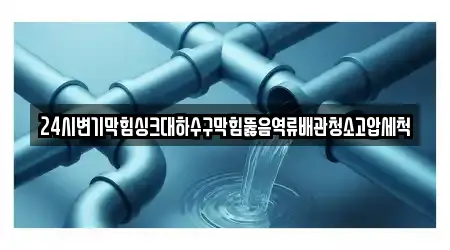 24시변기막힘싱크대하수구막힘뚫음역류배관청소고압세척