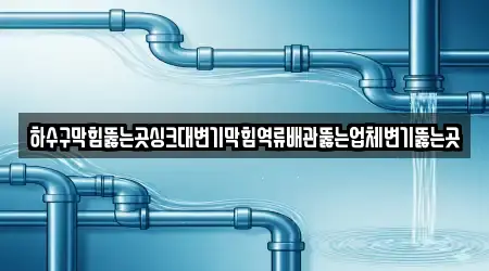 하수구막힘뚫는곳싱크대변기막힘역류배관뚫는업체변기뚫는곳