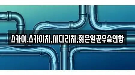 스카이,스카이차,사다리차,젊은일꾼우승연합