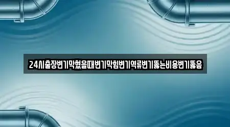 24시출장변기막혔을때변기막힘변기역류변기뚫는비용변기뚫음