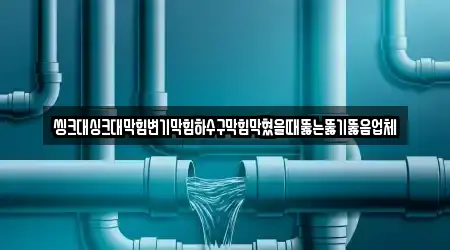 씽크대싱크대막힘변기막힘하수구막힘막혔을때뚫는뚫기뚫음업체