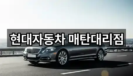 신동 자동차전시장 문의 많은 1곳
