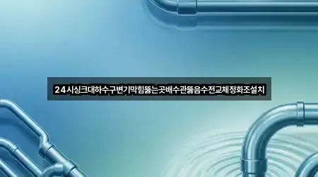 24시싱크대하수구변기막힘뚫는곳배수관뚫음수전교체정화조설치