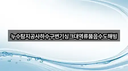 누수탐지공사하수구변기싱크대역류뚫음수도해빙