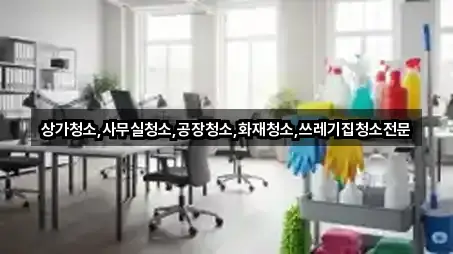 상가청소,사무실청소,공장청소,화재청소,쓰레기집청소전문