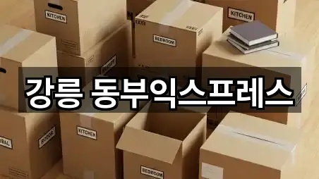 강릉 동부익스프레스