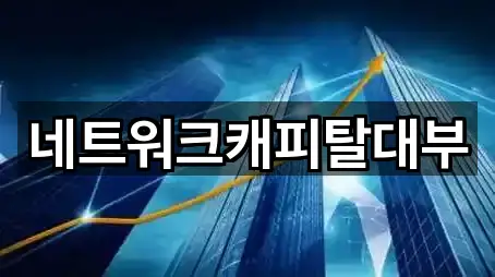 네트워크캐피탈대부