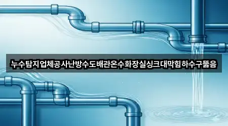 누수탐지업체공사난방수도배관온수화장실싱크대막힘하수구뚫음