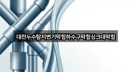대전누수탐지변기막힘하수구막힘싱크대막힘