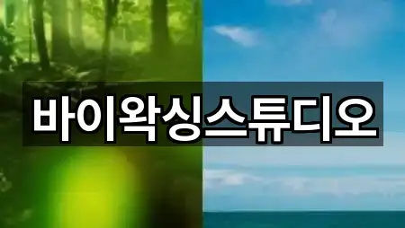 바이왁싱스튜디오