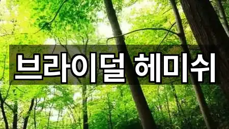 브라이덜 헤미쉬