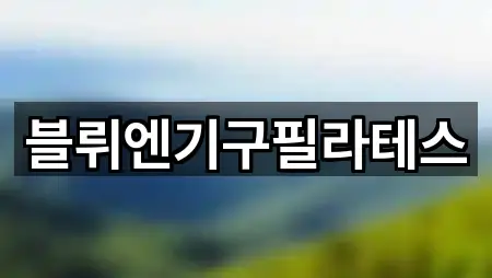 블뤼엔기구필라테스