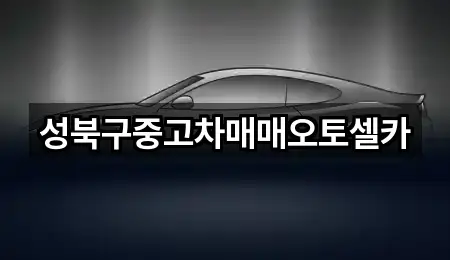 성북구중고차매매오토셀카